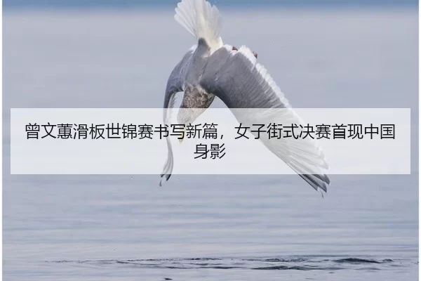曾文蕙滑板世锦赛书写新篇，女子街式决赛首现中国身影