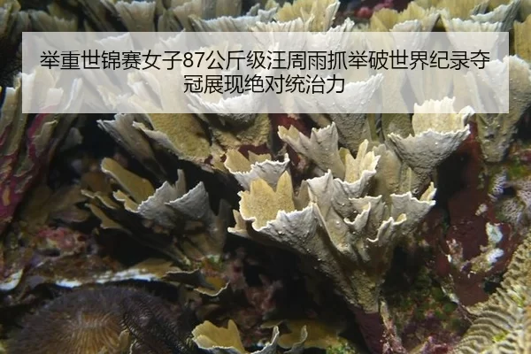 ju-zhong-shi-jin-sai-nv-zi-gong-jin-ji-wang-zhou-yu-zhua-ju-po-shi-jie-ji-lu-duo-guan-zhan-xian-jue-dui-tong-zhi-li-2-460.jpg